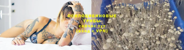2c-b Михайловск