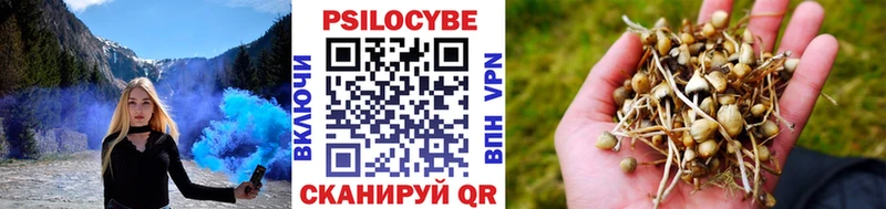 Псилоцибиновые грибы мухоморы  Торопец 